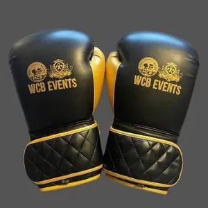 16oz Training And Sparring Gloves
